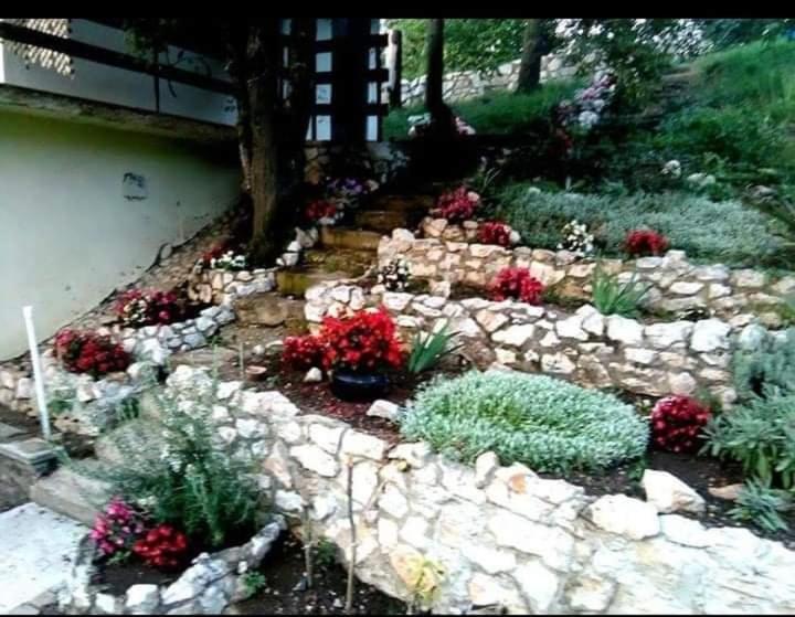 Vila Eva Meduvrsje Luaran gambar