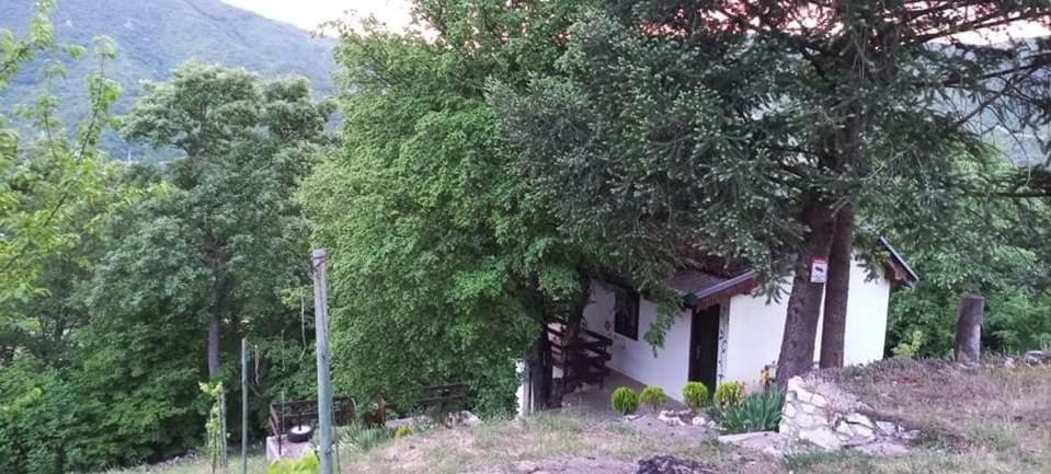 Vila Eva Meduvrsje Luaran gambar