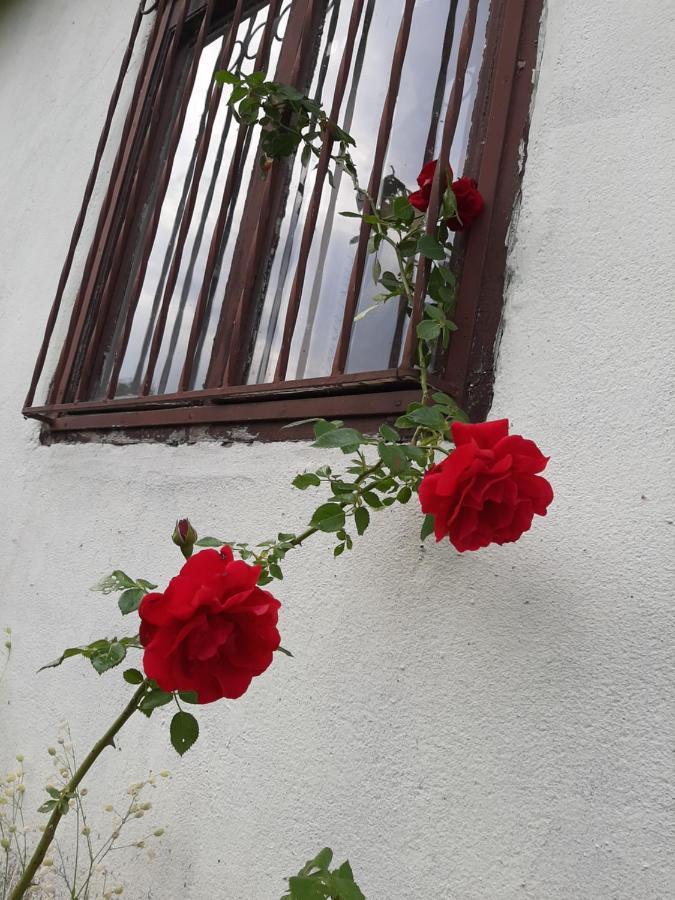 Vila Eva Meduvrsje Luaran gambar