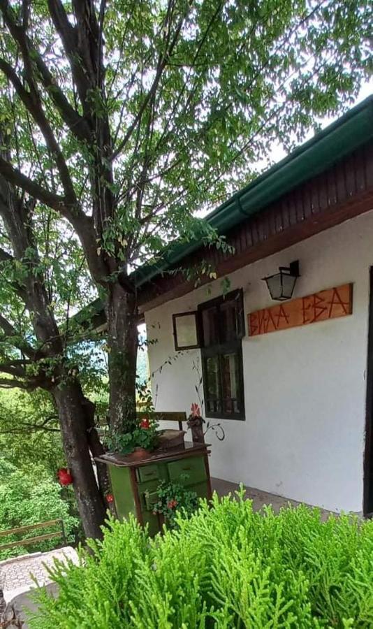 Vila Eva Meduvrsje Luaran gambar