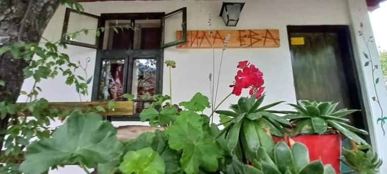 Vila Eva Meduvrsje Luaran gambar