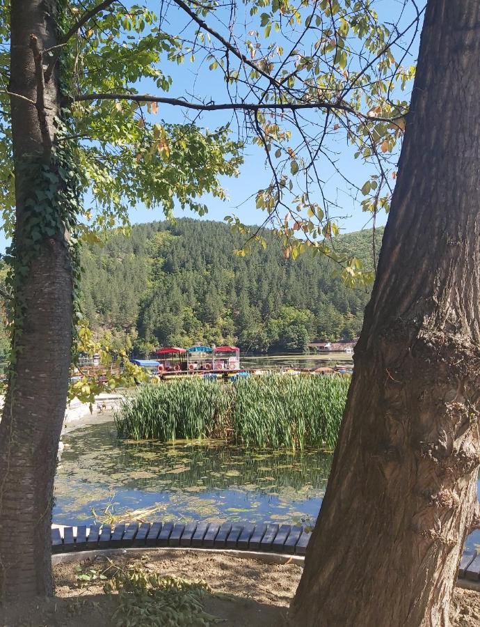 Vila Eva Meduvrsje Luaran gambar